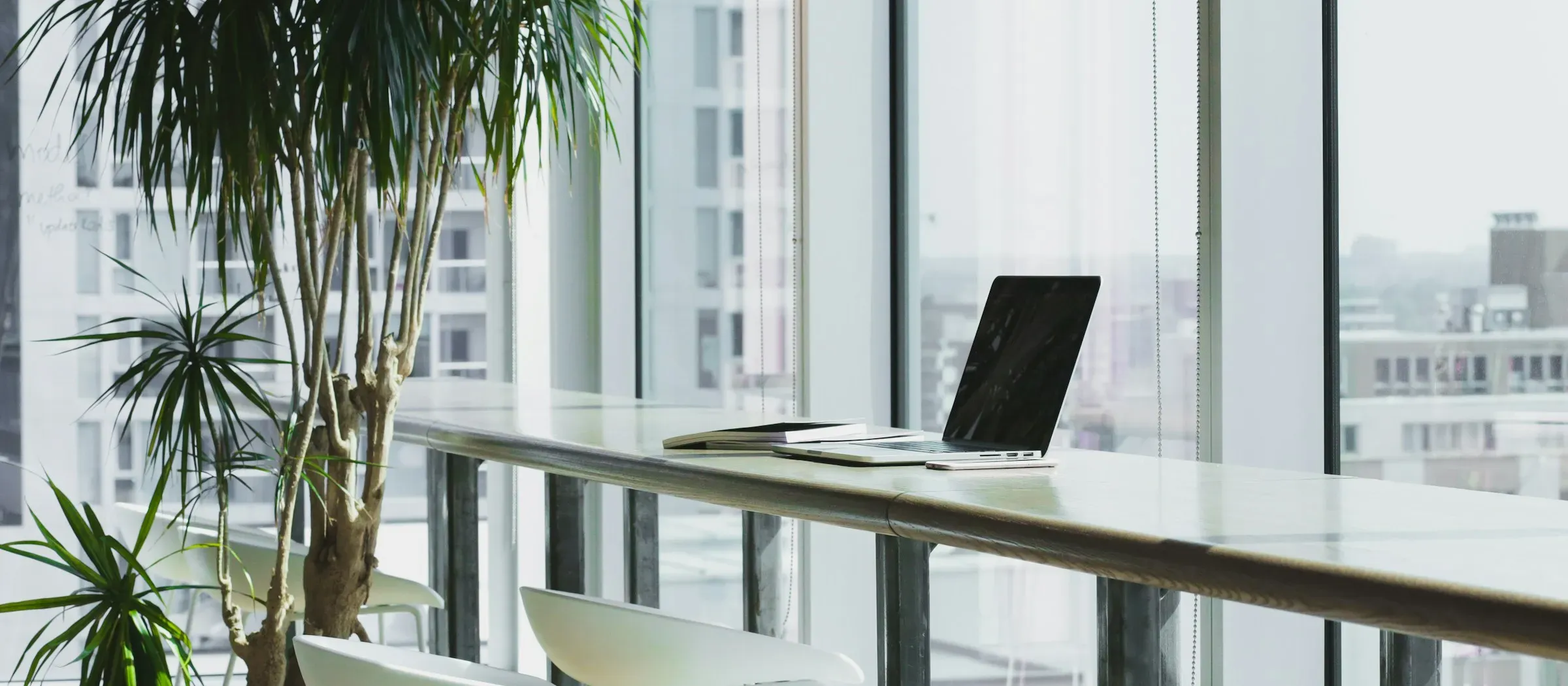A laptop on a long desk by a window, next to a tall plant.